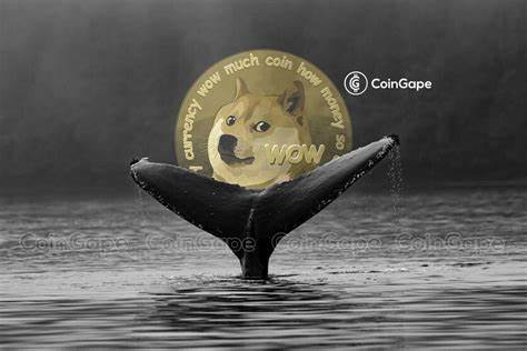 Dogecoin Whales Buy Over 1 Billion DOGE, Is A Massive Rally Starting? - Crypto News BTC