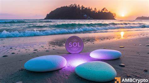 Solana shows 3 bullish signs – How will these factors help SOL?