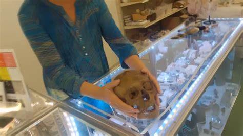 An anthropologist spotted a real human skull on display in the Halloween section of a Florida thrift store - Business Insider