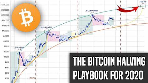 Bitcoin Halving Nears: Weekly Top 5 Cryptos To Watch – XRP, SOL, BNB, ADA, MATIC - The Crypto Basic