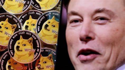Can Elon Musk Crypto Elonator Replace Top Meme Coins Dogecoin And Shiba Inu? Invest In $ETOR To Win A Tesla - Punch Newspapers