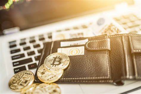 Was ist eine Hot Wallet?