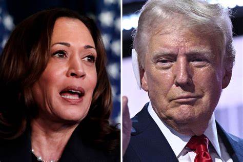 Crypto voters are more likely to support Donald Trump than Kamala Harris, poll says - TheStreet