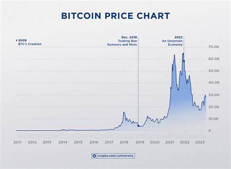 Bitcoin's Price Lowest Since January; U.S. Top Destination for Global Money - Newsweek