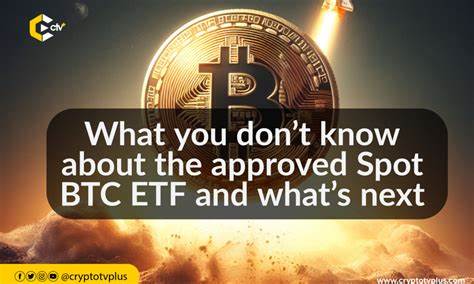 5 Lies Frequently Told About Bitcoin and The Truth You Need to know - CryptoTvplus