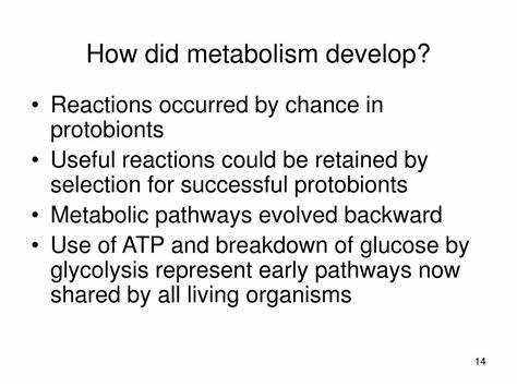 At the dawn of life, did metabolism come first?
