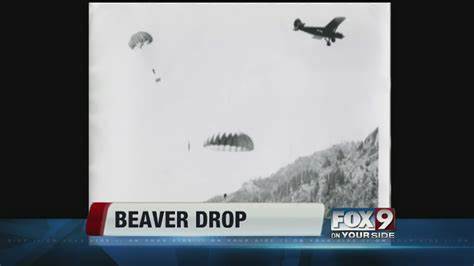 Beaver Drop