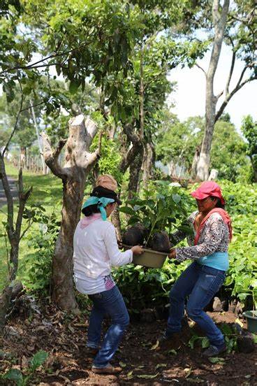 Harvesting Geothermal Energy | El Salvador