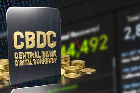 US senator Warren urges regulator to cap Citi’s growth; Swift to pilot live digital currency transactions in 2025 - The Banker