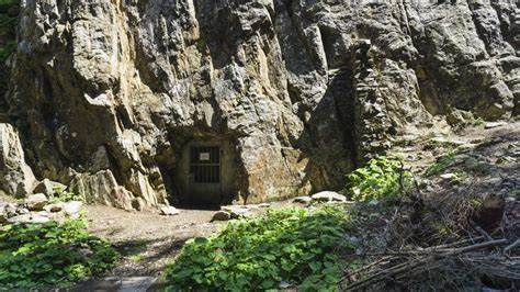 Why does Switzerland have so many bunkers?