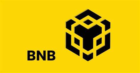 BNB Chain Fusion may unify BEP-2 and BEP-20 by 2024 - Forkast News