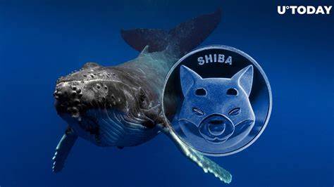 Mysterious Shiba Inu Whales Moving Trillions Of SHIB With Price On The Brink Of Massive All-Time Highs - ZyCrypto