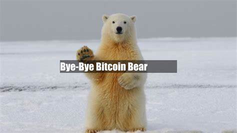 Bye-Bye Bitcoin Bear - CoinDesk