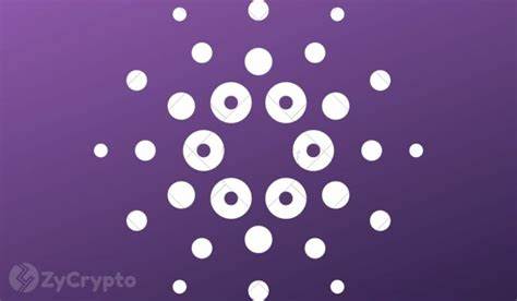Cardano, Elon Musk, and SpaceX: What’s Brewing Under an NDA? - ZyCrypto