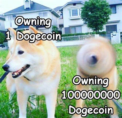 #Dogecoin Trending Amid Crypto Crash As Fans Share 'Hodl' Memes - Newsweek