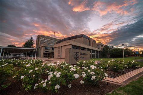 University of the Free State