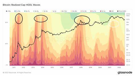 Spot Bitcoin ETFs Trigger Massive Inflows, Short-Term BTC Holders Make Their Move - The Cryptonomist