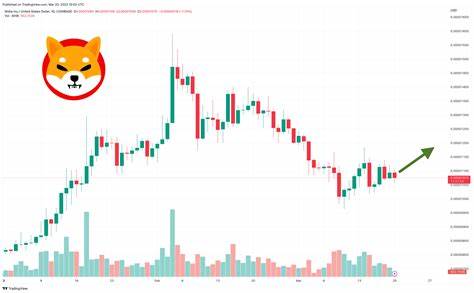 Here’s Shiba Inu Price if Bitcoin Hits $325K or $777K and Ethereum Hits $22K or $100K - The Crypto Basic