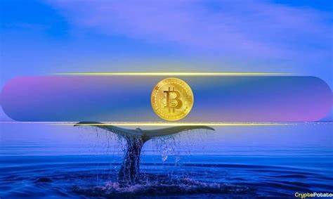 230,000% ROI in a Decade: Dormant Bitcoin Whale Awakes as BTC Price Heads Toward $70K - CryptoPotato