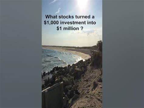 3 Stocks That Turned a $15,000 Investment Into Over $1 Million in 15 Years