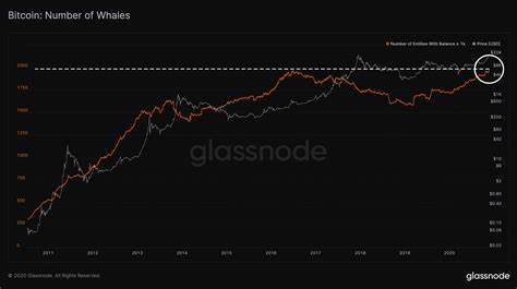 Bitcoin Records Highest Whale Population in History