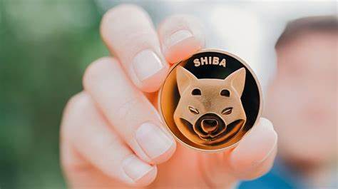 Shiba Inu: Mystery person becomes billionaire after buying £2,500 of new cryptocurrency - The Mirror