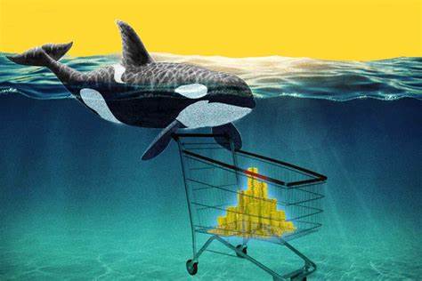 What Is a Crypto Whale? How Big Wallets Shift Tides in the Cryptocurrency Market - DailyCoin