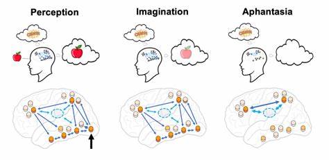 Aphantasia – A Graph-View-Based Community