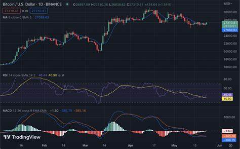 BTC Bulls Dominate Binance: Is Bitcoin Price Set For a Breakout to $100K?