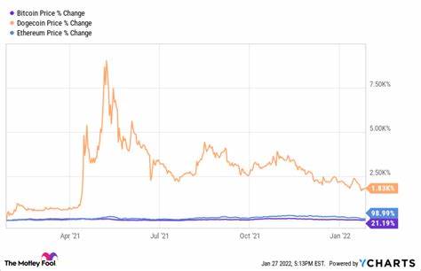 Why Bitcoin, Ethereum, and Dogecoin Crashed Today - The Motley Fool