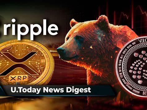 $100 Million in Crypto Shorts Destroyed Completely as Bears Lose Their Ground - U.Today
