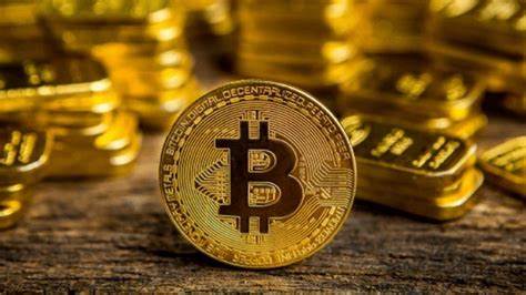 Semler Scientific expands bitcoin holdings to 2,321 BTC with latest $23 million purchase - The Block