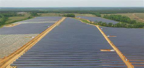 Cypress Creek secures $150m financing for Ostrea solar project, starts construction
