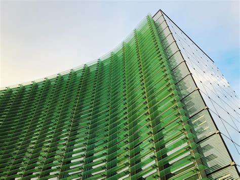 How Blockchain-Powered Carbon Markets Combat Climate Change - Ripple