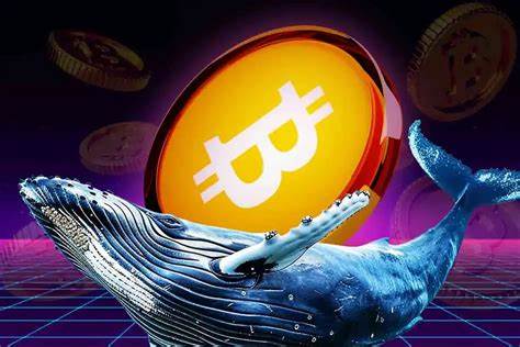 Bitcoin Whales Load Up 83K BTC as Retail Sells Off: $110K Price Target in Sight?