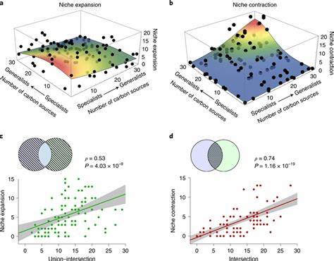Non-Linear Ethnic Niches