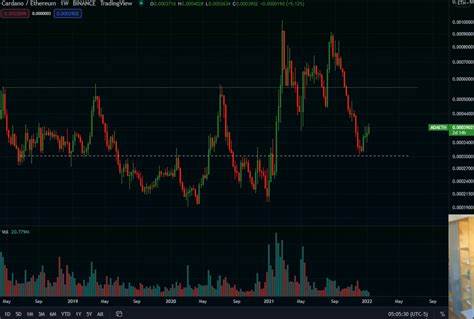 Are Altcoins Like BNB And Cardano Dead? Nicholas Merten Says ‘We’re In For Rough Ride’ - Coinpedia Fintech News