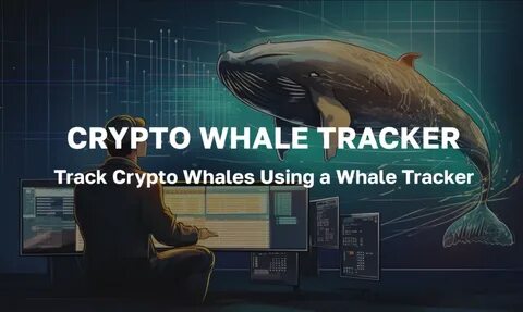 Crypto whales tracker: Why they matter and how you can track them - OKX