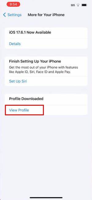 Bypassing Apple's in-app payment cut