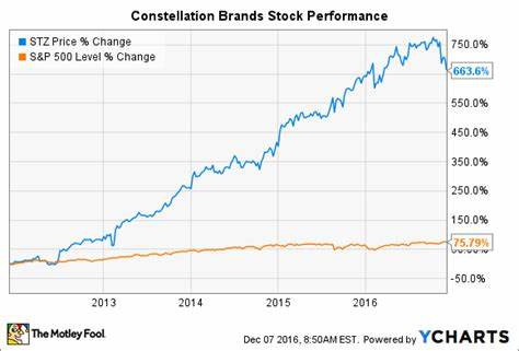 Where Will Constellation Brands Stock Be in 1 Year?