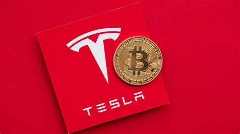Tesla moves over $500 million worth of bitcoin to multiple new addresses - The Block