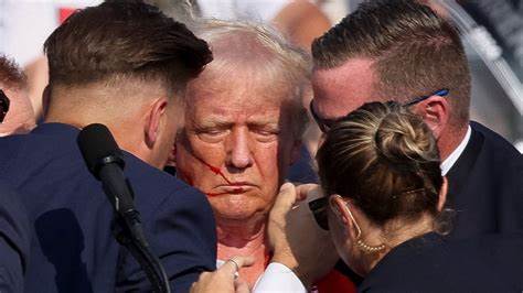 Witness details 'insane' scene on interstate where Donald Trump's suspected would-be assassin Ryan Wesley Routh was apprehended