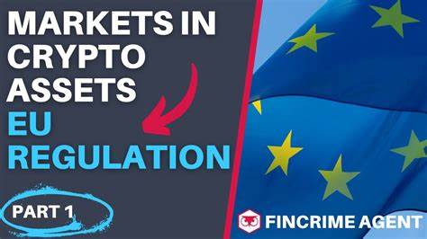EU markets regulator says crypto may cause ‘broader stability issues’ as market grows