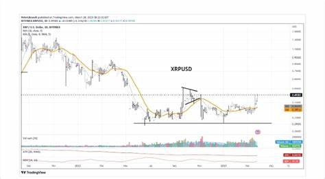 JPMorgan Predicts XRP ETF Might Attract $8 Billion, Peter Brandt Shares 3 Bitcoin Price Scenarios That Could Shape 2025, 480 Billion PEPE Transferred in Hours: Crypto News Digest by U.Today - U.Today