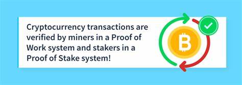 dcgdfhgfh/How-is-a-Transaction-Verified-on-a-Cryptocurrency-Network