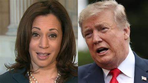Donald Trump vs Kamala Harris Debate: Crypto Snoozed, Polymarket Bettors Split on Winner - CCN.com