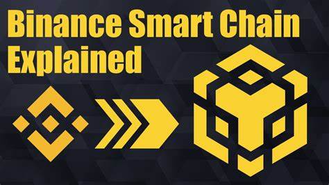 Binance Smart Chain and BNB Beacon Chain Unite Under a New Brand - CryptoPotato