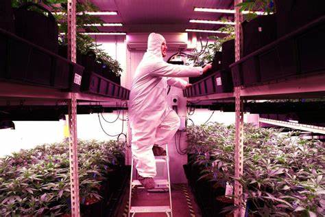The U.S. could need the equivalent of 40 new nuclear plants in the next 5 years—blame power hogs AI and cannabis - Fortune