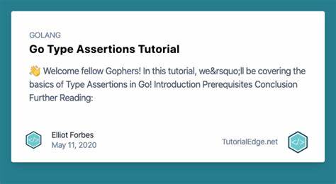 Using type assertions in Go with concrete types