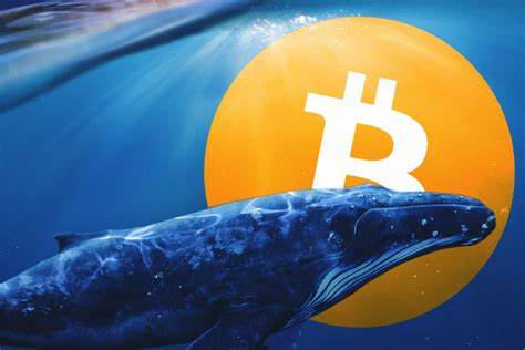 SOL Market Trends: Whale Accumulation and the Path to $1,000 in 2024 - Cryptonews
